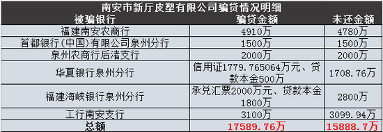南安市新厅皮塑有限公司骗贷情况明细